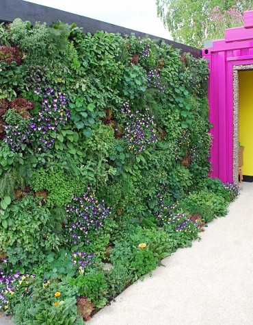 5 Trends to try at home from RHS Chelsea Flower Show 2019
