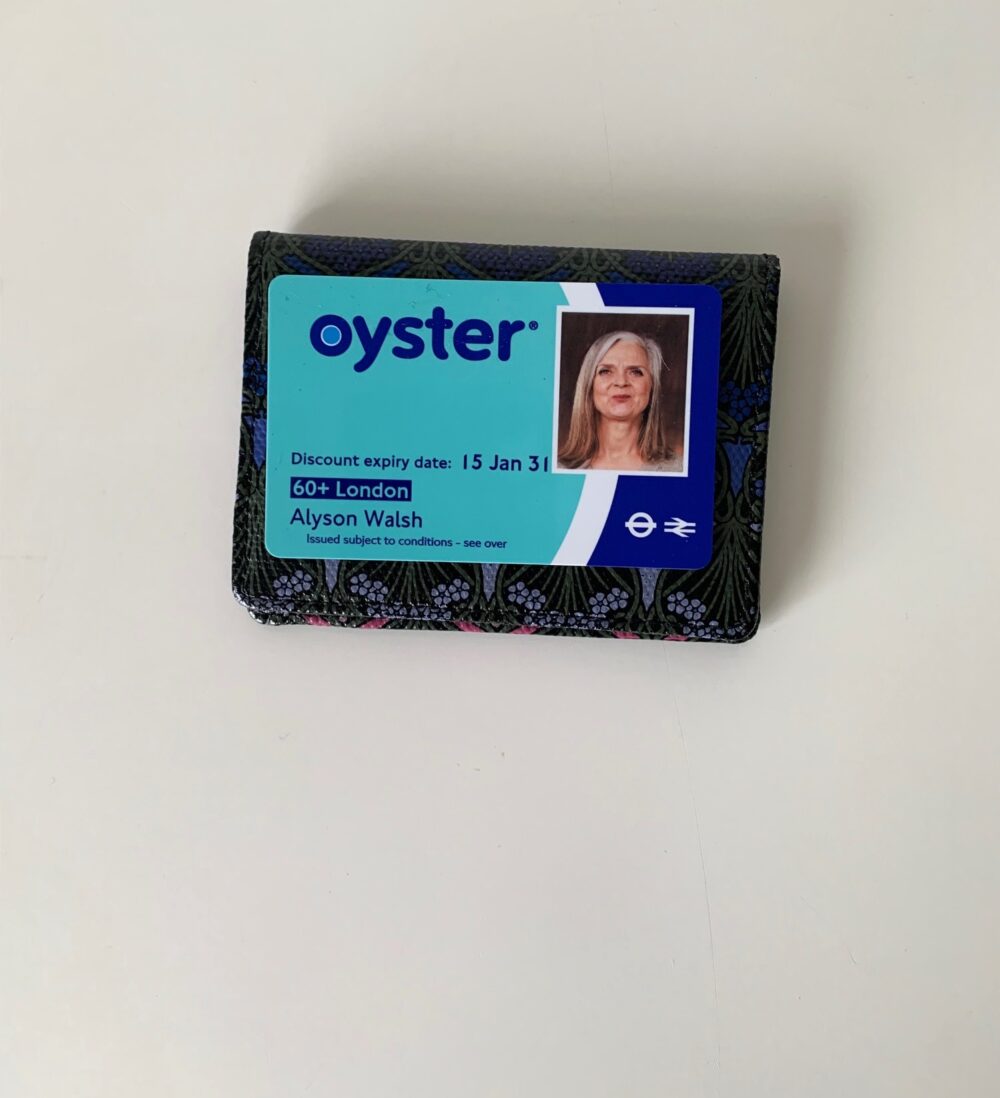 Bring on the Bus Pass! (And the latest must-have accessory)