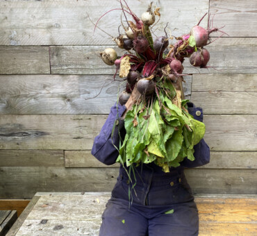 The absolute joy of an allotment